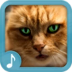 meowing cat sounds android application logo